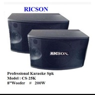 Ricson cs-28k karaoke speaker