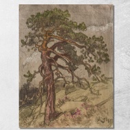 Kalliopetäjä Eero Järnefelt ejr15 Prints On Canvas