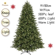 6Ft High Marywood Pine Tree Christmas Tree 180cm With 600Pcs Warm Lights PE/PVC Christmas Tree