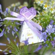 Wedding candy gift box door gift purple 结婚triangle garden majlis kahwin theme