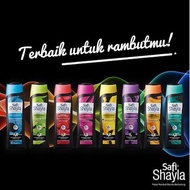 Safi Shayla Shampoo 160ml