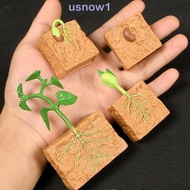 AHOUR1 Simulation Life Cycle Science Toys Cognitive Toy Action Figures Collection for Children Plant Growth Cycle Model