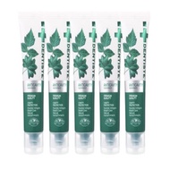 Dentiste fluoride toothpaste anti-cavity 20g 5ea bad breath removal cavity care foam-free