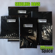 Bundle - Seedling Bag 6x6x10 inches (2XL - 100pcs)