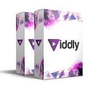 2022 Latest Viddly YouTube Downloader Plus