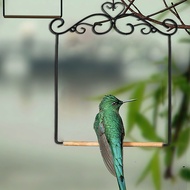 Small Small Living Bird Training Bird Stand Parrot Stand Portable Bird Stand Platform Supplies Bird 