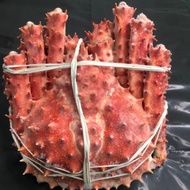 [TASTY FROZEN] King Crab 帝王蟹 (1.4kg~1.6kg)