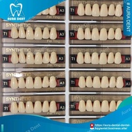 Gigi Palsu Depan Atas Merk Synthetic Resin Teeth