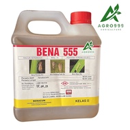 4L Bena 555 / Bena Hijau / Bena Perang / Pianggang / Belalang / Lelompat Daun / Kutu Beruang