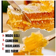 [Ehoney Original Cameron Highlands ] Honey Comb / Sarang Madu Asli tua / muda Wellbeing Supplement