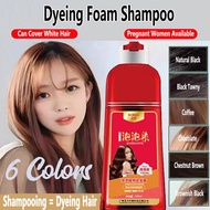 Dyeing Foam Shampoo Hair Bubble Hair Dyeing Cream Organic Plant Hair Hair Dye Shampoo 500ml