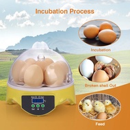 HHD heater/Hobby incubator 7 eggs Automatic small incubator egg hatching machine price