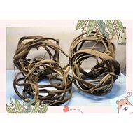 Forest twisted vines, deco vines for small animals: birds, squirrels....