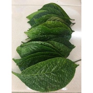 Organic Black Face General Leaves 黑面将军-60g