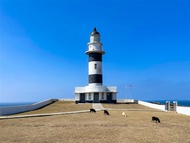 澎湖旅遊｜【６人成行►花火試放】澎湖南海雙島.七美雙心石滬.望安.北環百年古蹟三日.星級度假飯店｜高雄出發