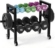 Dumbbell Rack 2-Tier 20 IN Length Adjustable Small Weight Rack For Home Gym Dumbbells Kettlebell,350