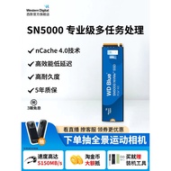 WD Western Digital Solid State Drive SN5000 Laptop SSD M2 Desktop 2TB Komputer 1TB Western Digital