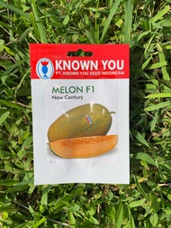 Benih Biji MELON NEW CENTURY 4 Biji Melon KYS Lonjong Hami Kuning Sweet Lavender