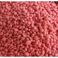 13-13-21 Compound Fertiliser for Blooming / Flowering Plants Gardening