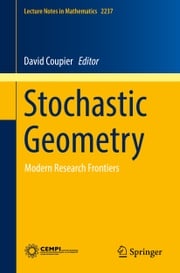 Stochastic Geometry David Coupier