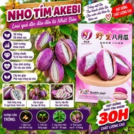 Akebi Purple Grape Seeds (30H)
