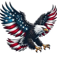 EAGLE PICTURE VYNIL STICKER