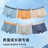 Boy underwear boxer brief kid children teenager cotton boxer trunk