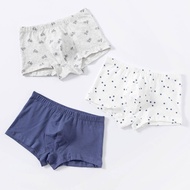 Young Hearts Junior Go Bike BOYS Briefs 3-packs Y04-B00907