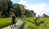 Ubud eBike (Electric Bike) Cycling Tour