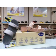 Scholl 1F-B381 Biomechanics.