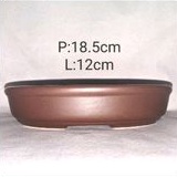 Oval Ceramic bonsai pot