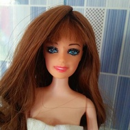 Barbie doll Wig, Barbie doll Wig