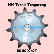 Sprocket RS 80 x 12 T Gear Chain Single Gear Z 12T RS80 -1 80Z12 80X12T 80-1 type B Sprocket spr Sin