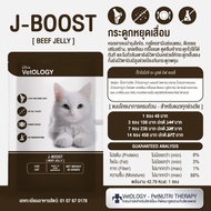 Petheria VetOLOGY [ยกลัง 10 กล่อง] เพ็ทเทอเรีย อาหารเปียกแมว สูตรบำรุงสุขภาพ ไม่เติมเกลือ Human Grad