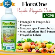 Pupuk PGPR Penyubur Tanah, PGPR (Plant Growth Probioting Rhizobium)