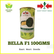 ➫ ▱ ✫ Kalabasa (Squash) Bella F1 East West seeds 100gms