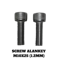 M10X25 SCREW ALANKEY 1.2MM