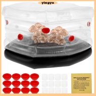 Monotub Mushroom Grow Kit Inflatable Mushroom Monotub Grow Kit with Plugs and Filters for Fresh Air Exchange Alternative to Mushroom Grow Bag SHOPCYC7881