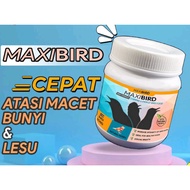 MAXIBIRD BIRD FEED BIRD FOOD PLECI BIRD FOOD