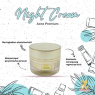 NightCream Acne Premium THP 3