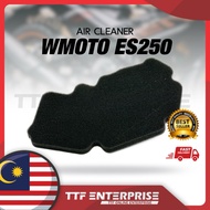 WMOTO ES250 AIR CLEANER AIR FILTER ES 250 ES250