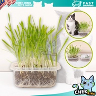 Taotaopets Cat Grass Seed Planter Box Cat Grass Set Kotak Tanam Rumput Kucing