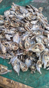 ikan asin mujair belah 1kg