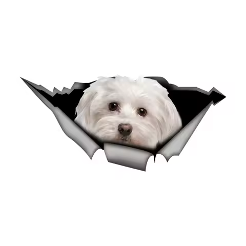 DK431# Maltese Dog Car Stickers Funny Waterproof Vinyl Decal Motorcycle Decorative Accessories, Used