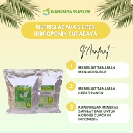 Nutrisi AB Mix Hidroponik Surabaya Pekatan 5 liter Sayuran Daun