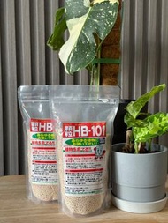 HB101 顆粒