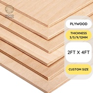 【Ready Stock】Plywood 3mm/5mm/9mm/12mm thickness 2FT X 4FT board sheet papan kayu Grade A custom cut