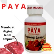 PAYA Meat Tenderizer 70 Gr/Paya Meat Tenderizer 70 Gr