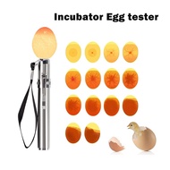 Penlight for bird egg Automatic incubator Egg Candler Tester Lamp LED Egg candling flashlight