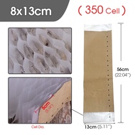 350 Lubang Plastik Semai Benih Polybag Bibit Cabe 7 X 11/8x13 Cm Polibek Kecil Semai Plastik Tanaman